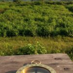 Vastu Shastra for NA Plots: What to Check Before You Buy in Igatpuri